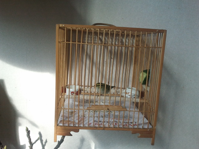 2013-11-04 13.02.11.jpg