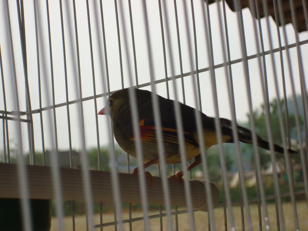 dsc09690_conew1.jpg