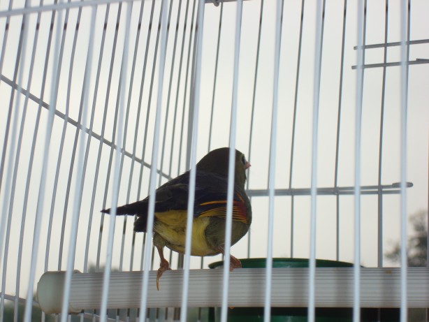 dsc09685_conew1.jpg