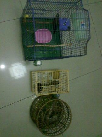 20131105110.jpg