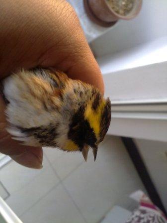 20131102072.jpg