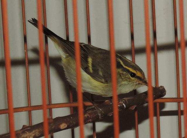 DSCN5051.JPG