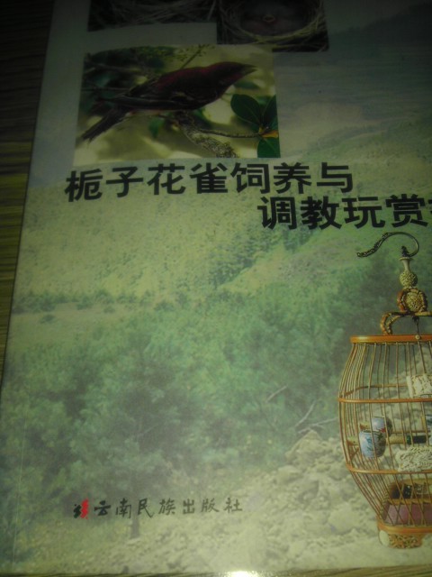 IMAG0269.jpg