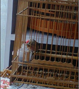 QQ截图20131119120013.jpg