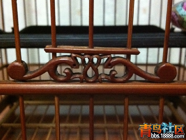 QQ图片20090502014308.jpg