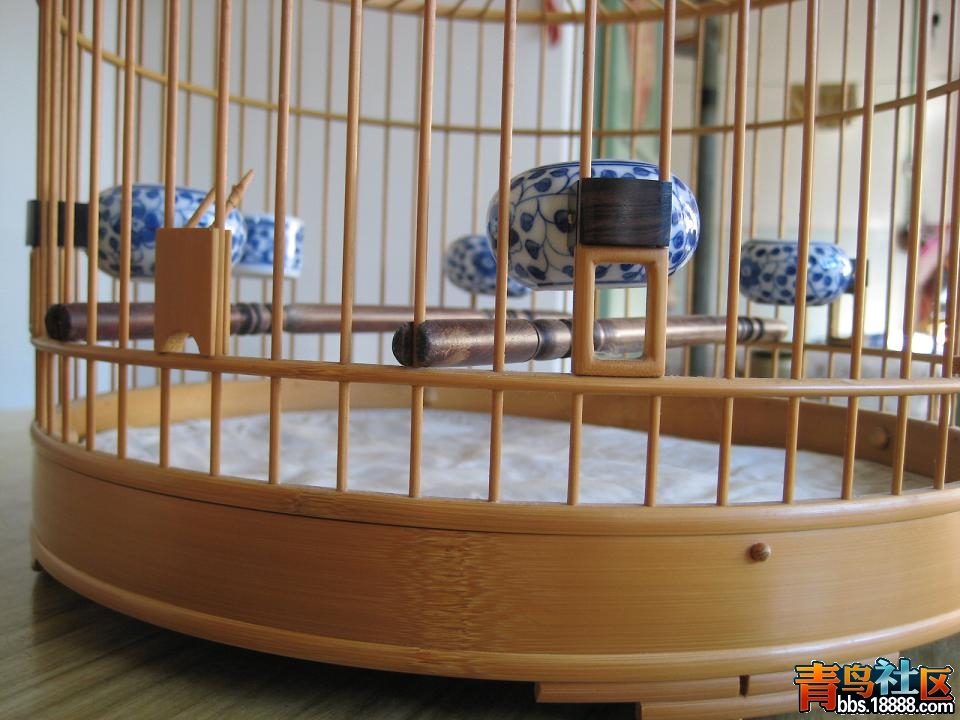 上网7.JPG