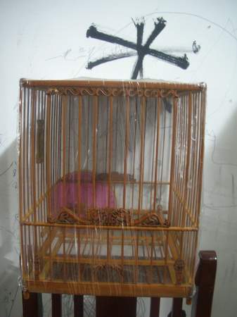 DSCN4025.JPG