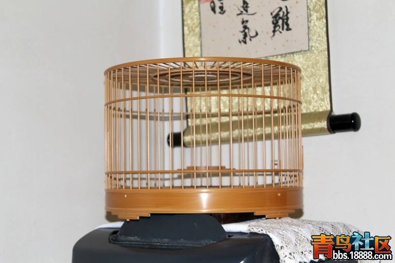 照片 006.jpg