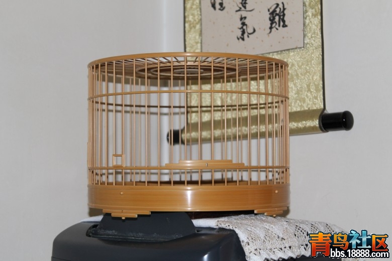 照片 009.jpg