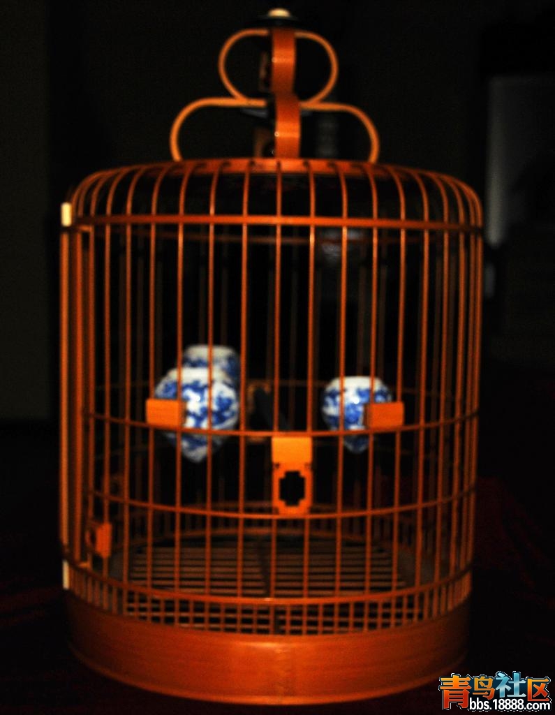DSC_5176.jpg