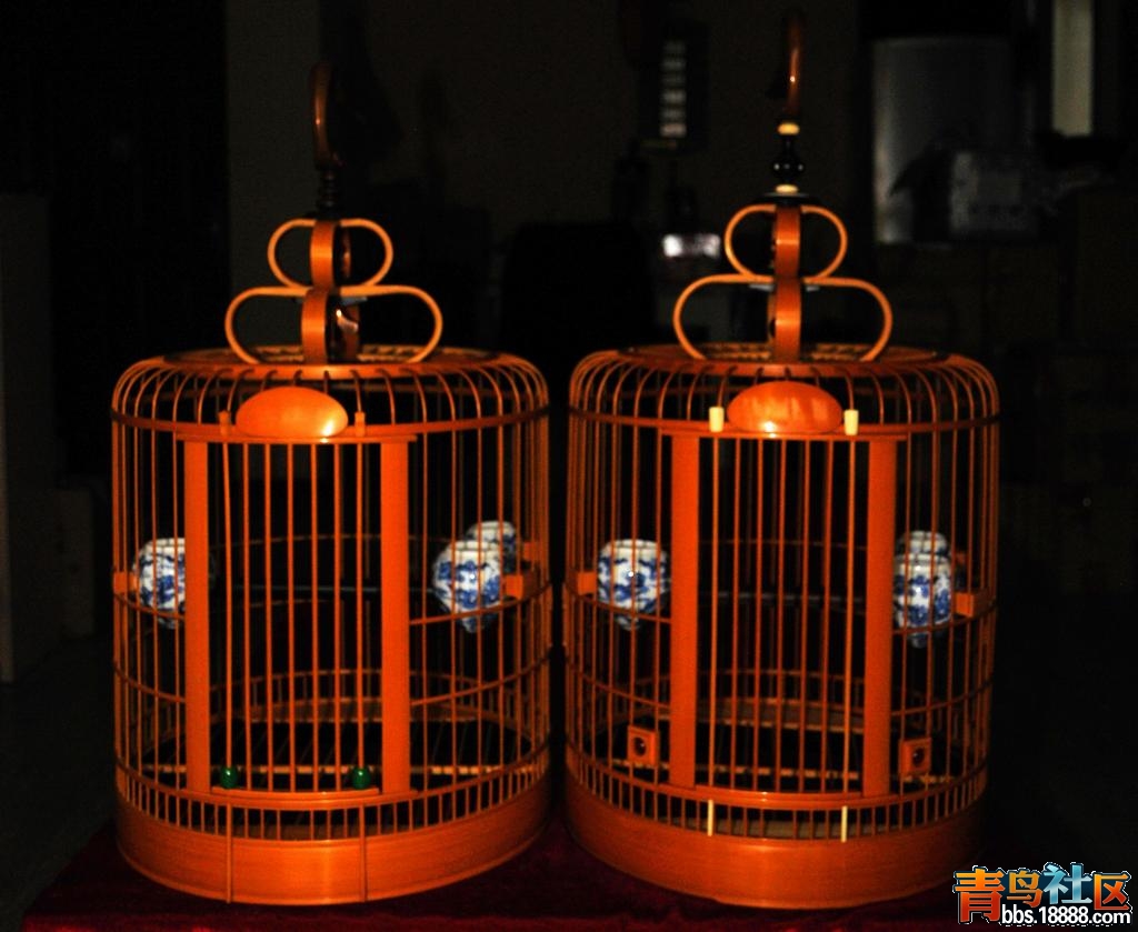 555444333222111DSC_5230 (7).jpg