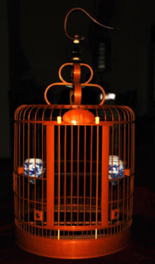 DSC_5183.jpg