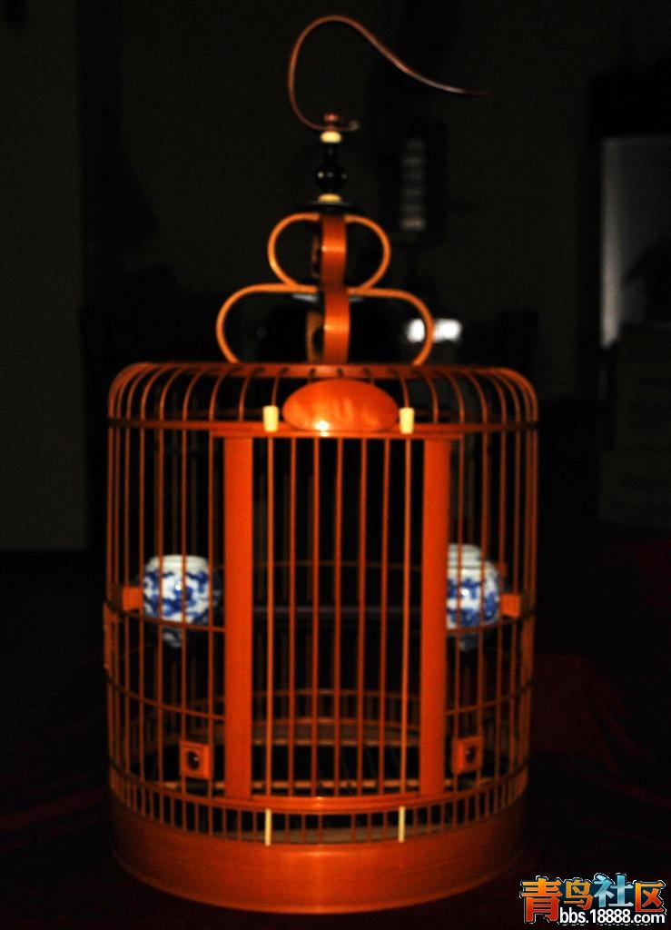 DSC_5182.jpg