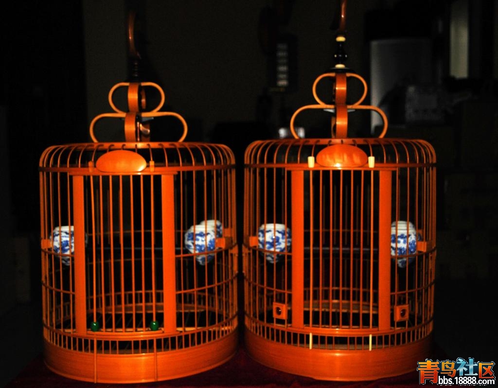 555444333222111DSC_5230 (4).jpg