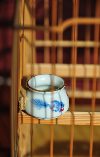 DSC_0377_副本.jpg