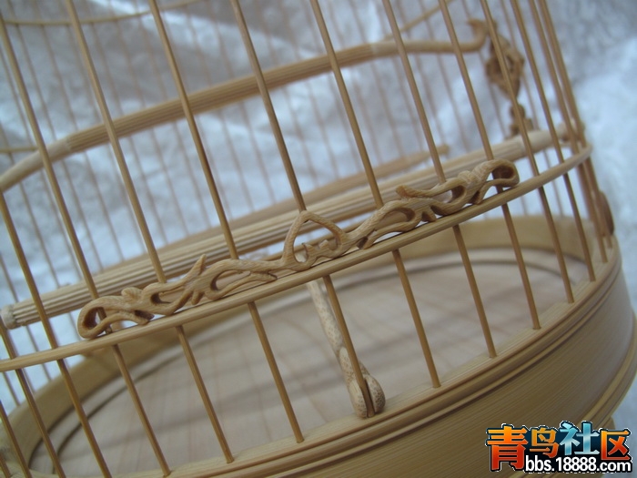 照片 022_调整大小.jpg