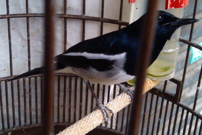 O8G]1EG[HTF491WGB6LBM{L.jpg