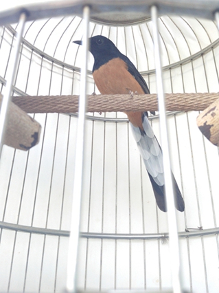 IMG_20131001_092014.jpg