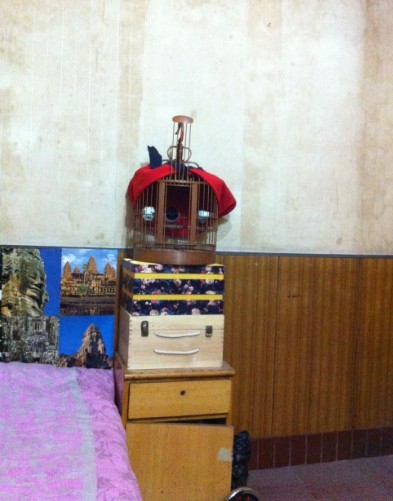 QQ图片20131120184941.jpg
