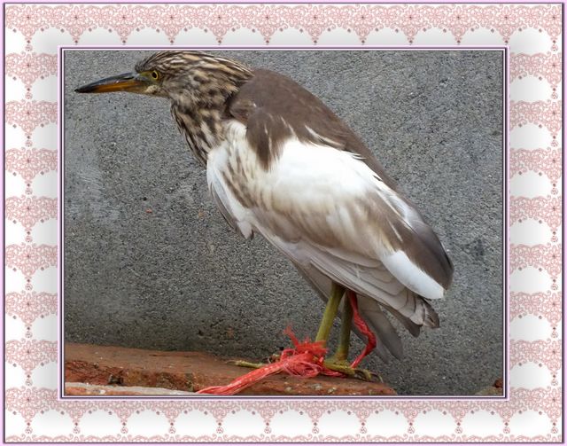 DSCF2909.JPG