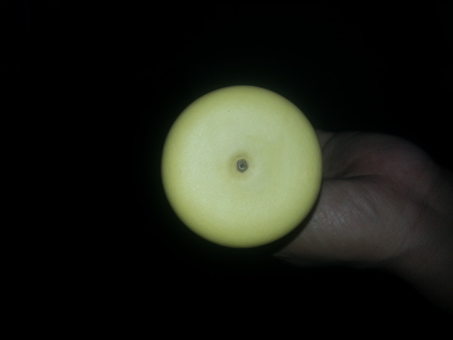 20131116_094939.jpg