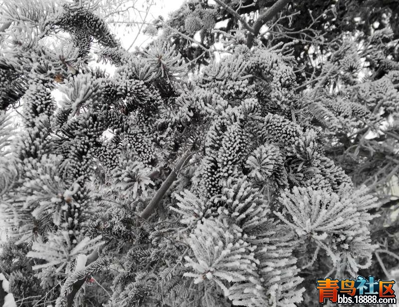 QQ图片20131124125023.jpg