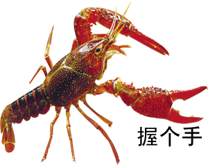 48_40746_1759eb1261ea297.gif
