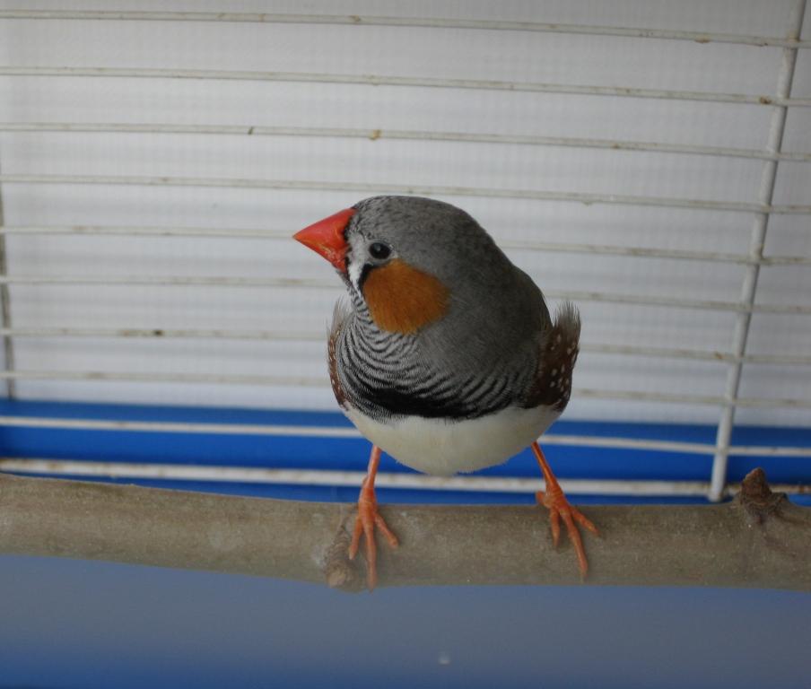 IMG_0663.JPG