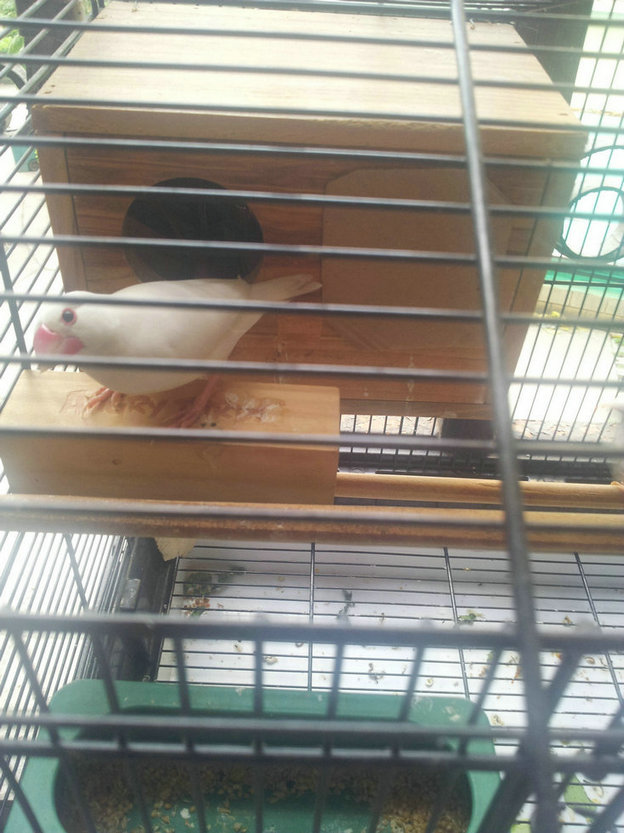 20131111_082240.jpg