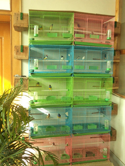 DSC00762_副本.jpg
