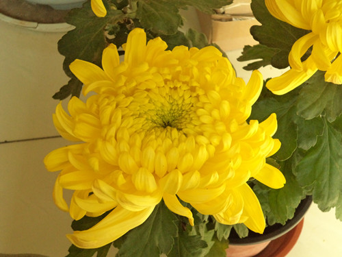 DSC00792_副本.jpg