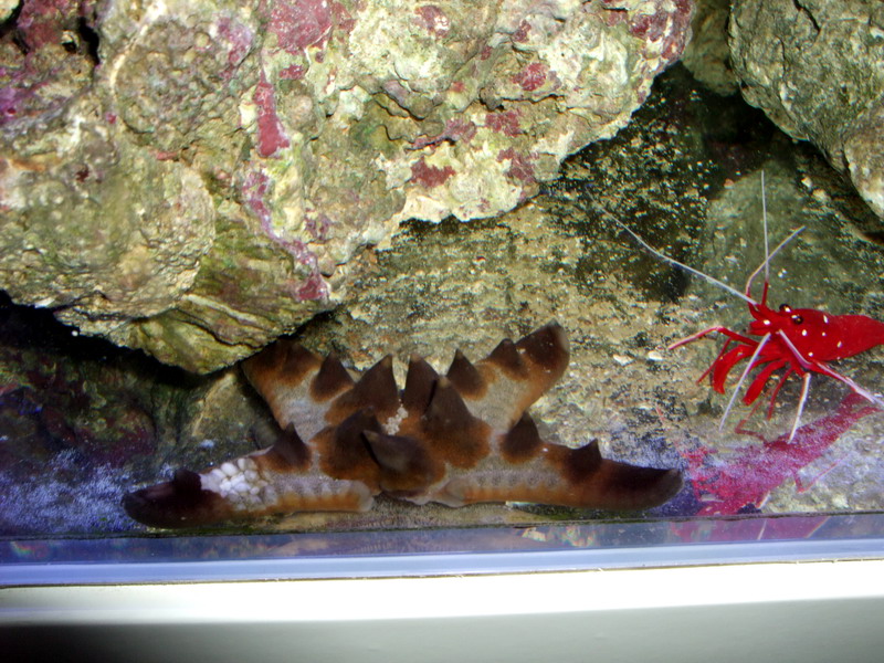 DSCF9695.jpg