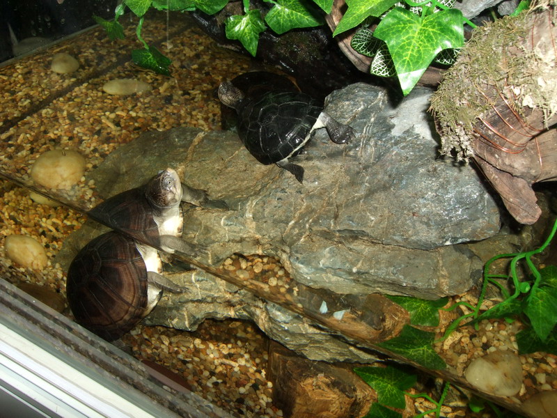 DSCF9660.jpg
