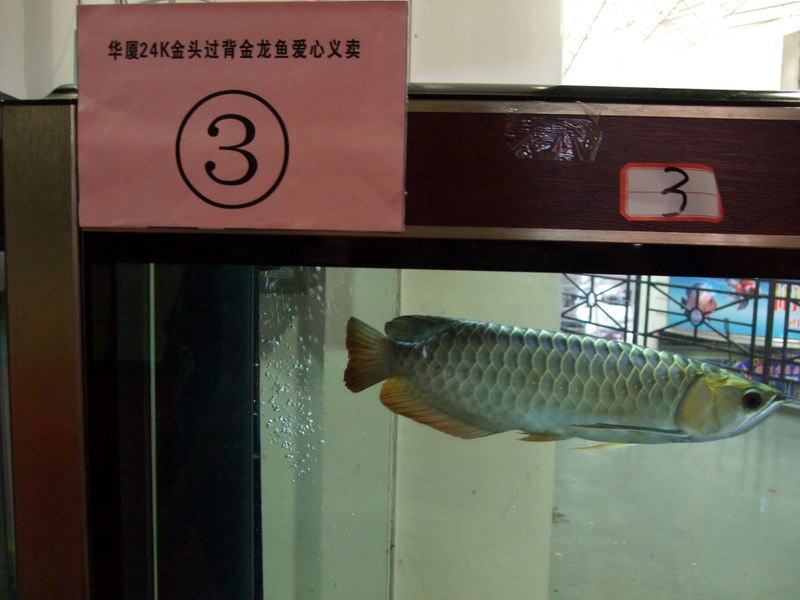 DSCF9588.jpg