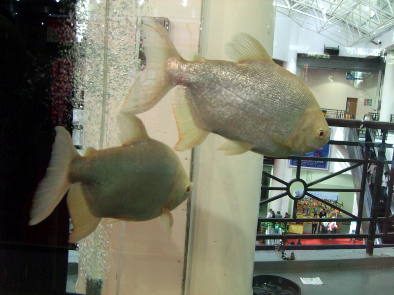 DSCF9582.jpg