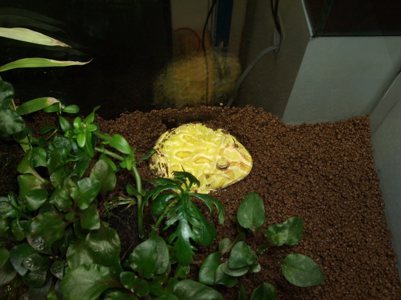 DSCF9615.jpg