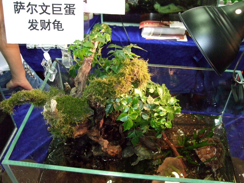DSCF9651.jpg