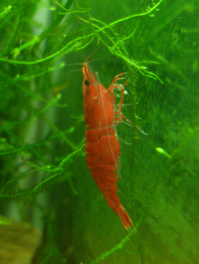 DSC_2489.jpg