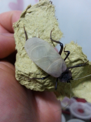 20131127_220532.jpg