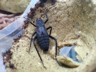 20131014_075118_编辑.jpg