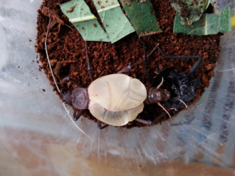 20131110_094515_编辑.jpg