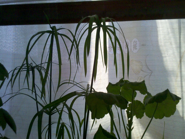 2013-11-14_08-07-47_335.jpg