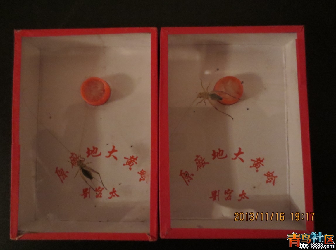 QQ图片20131116195853.jpg