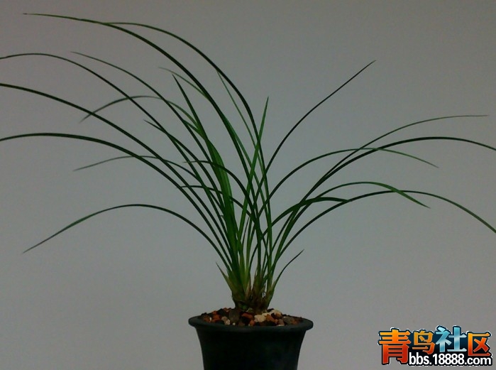 QQ图片20131115090849.jpg