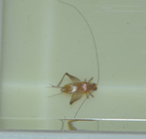 DSC_0267_副本.jpg