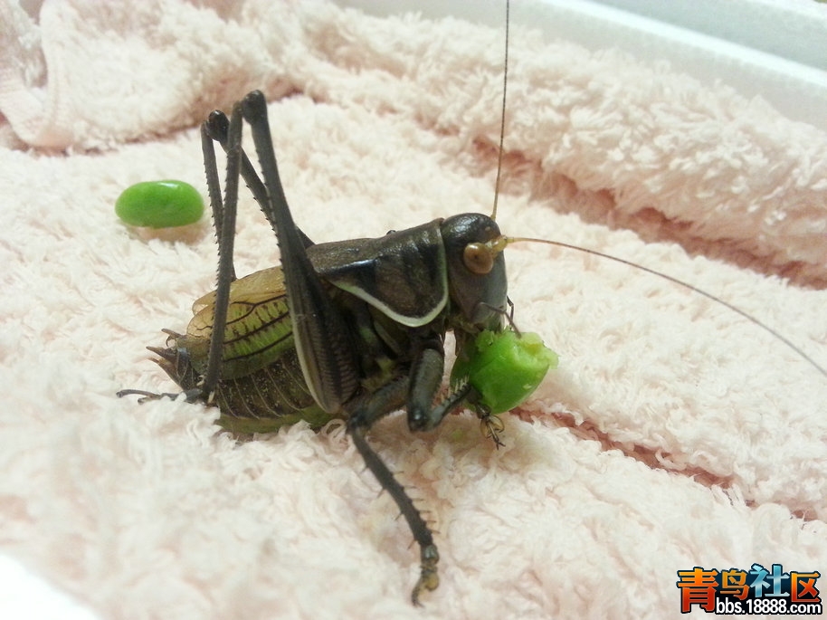 20131116_210333.jpg