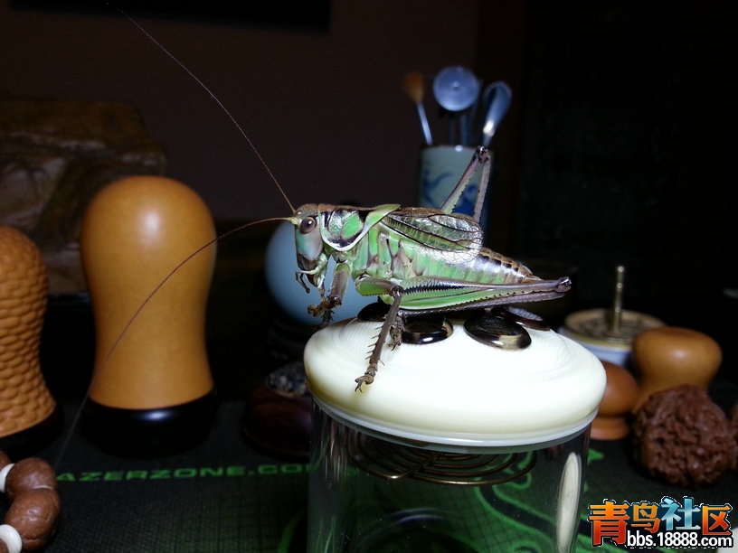 20131108_210724.jpg