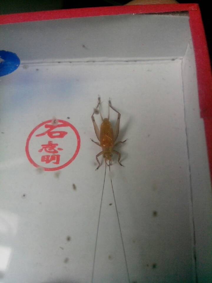 QQ图片20131101162320.jpg