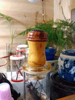 IMG_20131115_191739.gif