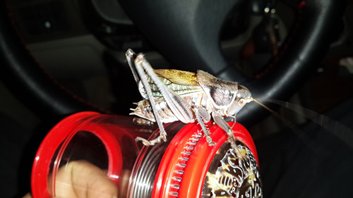 20131111_170026.jpg